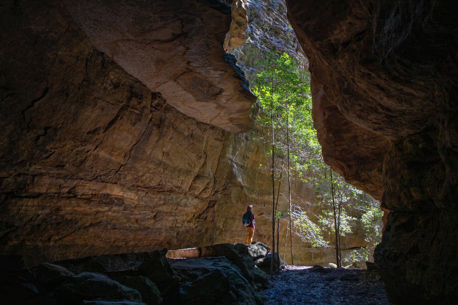 Nobles canyon by Joel Robinson